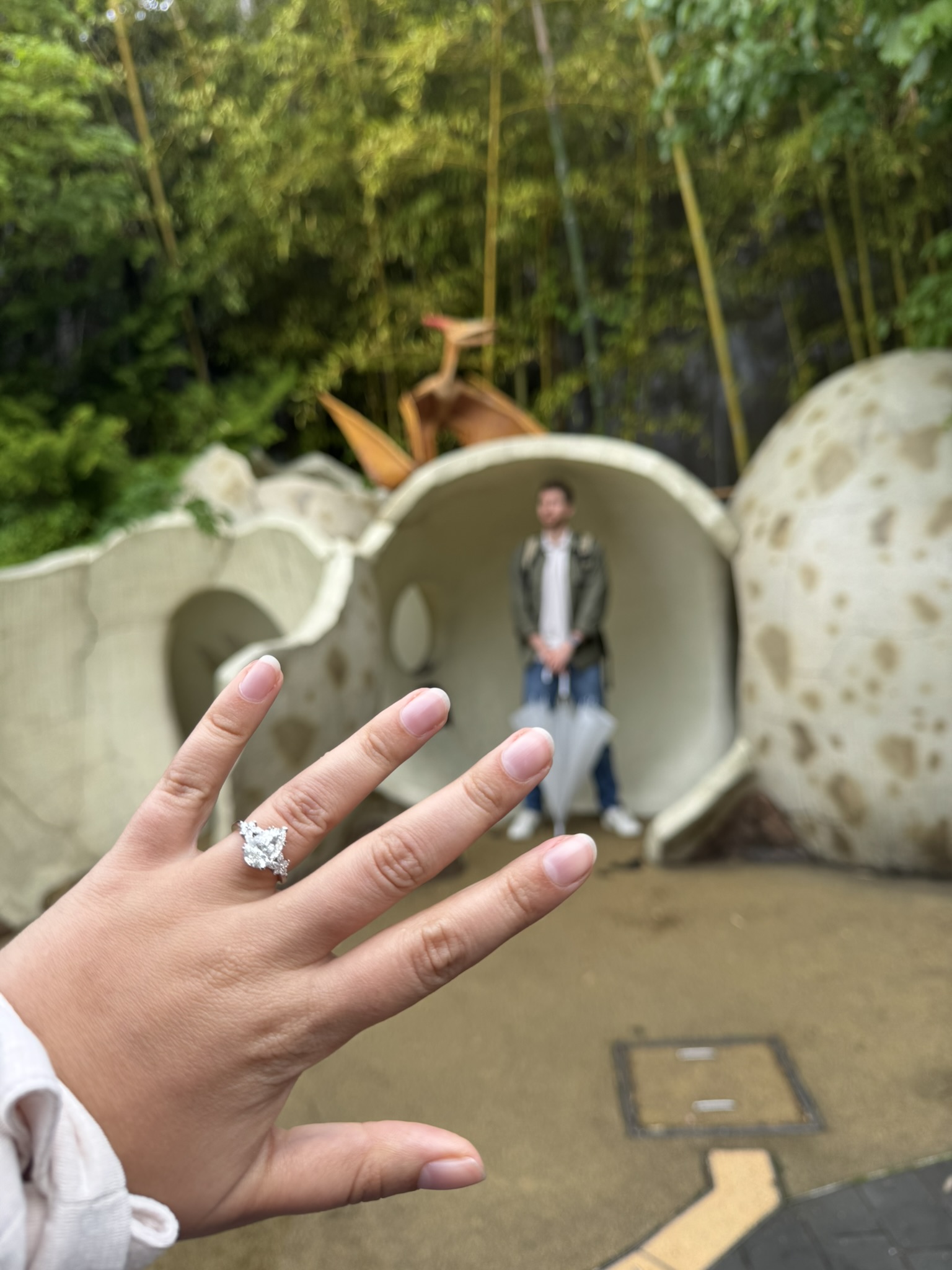 Photo de la demande en mariage